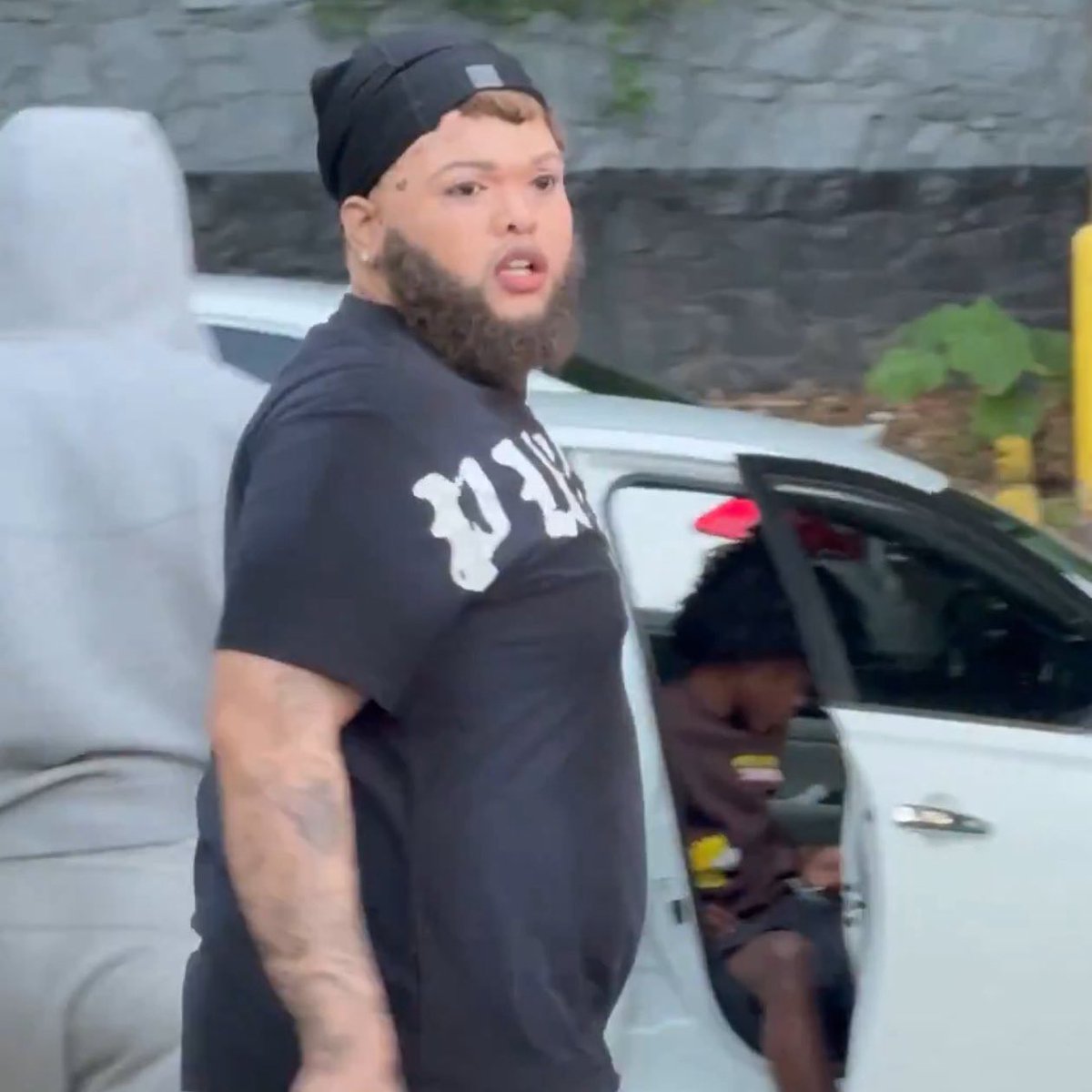 Turbo🐺 tweet media