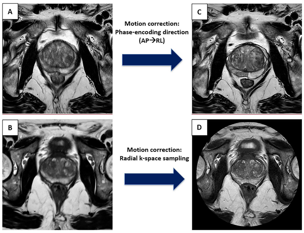 Adriano Dias tweet media