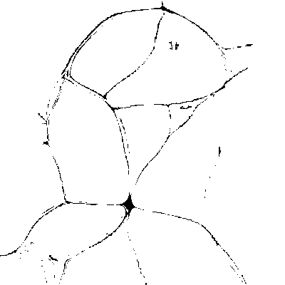 liam of veno twt | tweet media