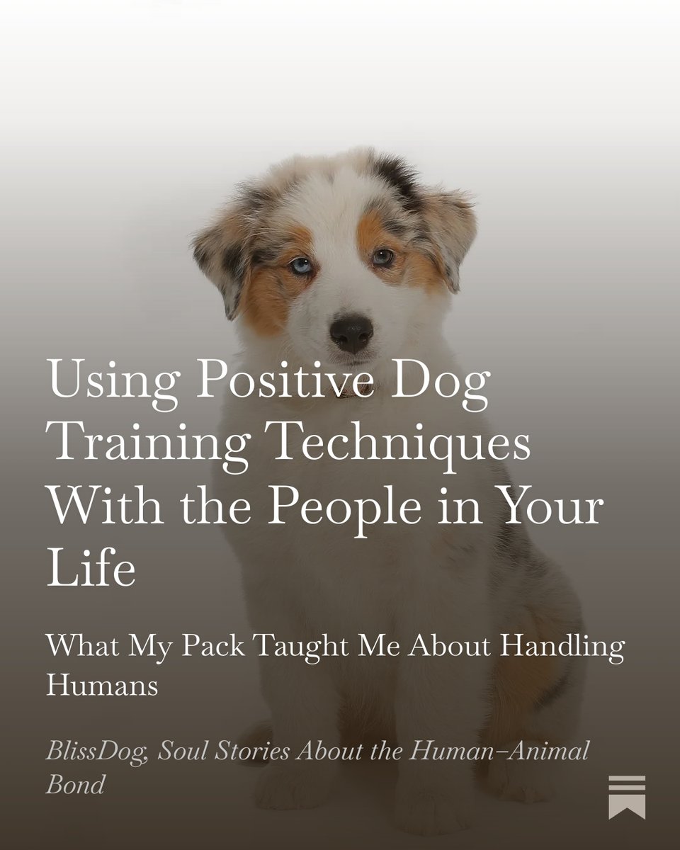 blissdog's tweet image. What if the same positive training techniques we use with dogs could improve our relationships at home and at work? 🐾✨ 

blissdog.substack.com/p/using-positi…

#DogWisdom #PositiveReinforcement #BlissDog #TherapyDogs #HumanAnimalBond