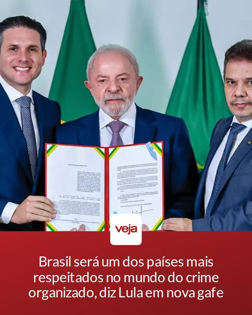 Candy 🔰⚖️🔰 tweet media