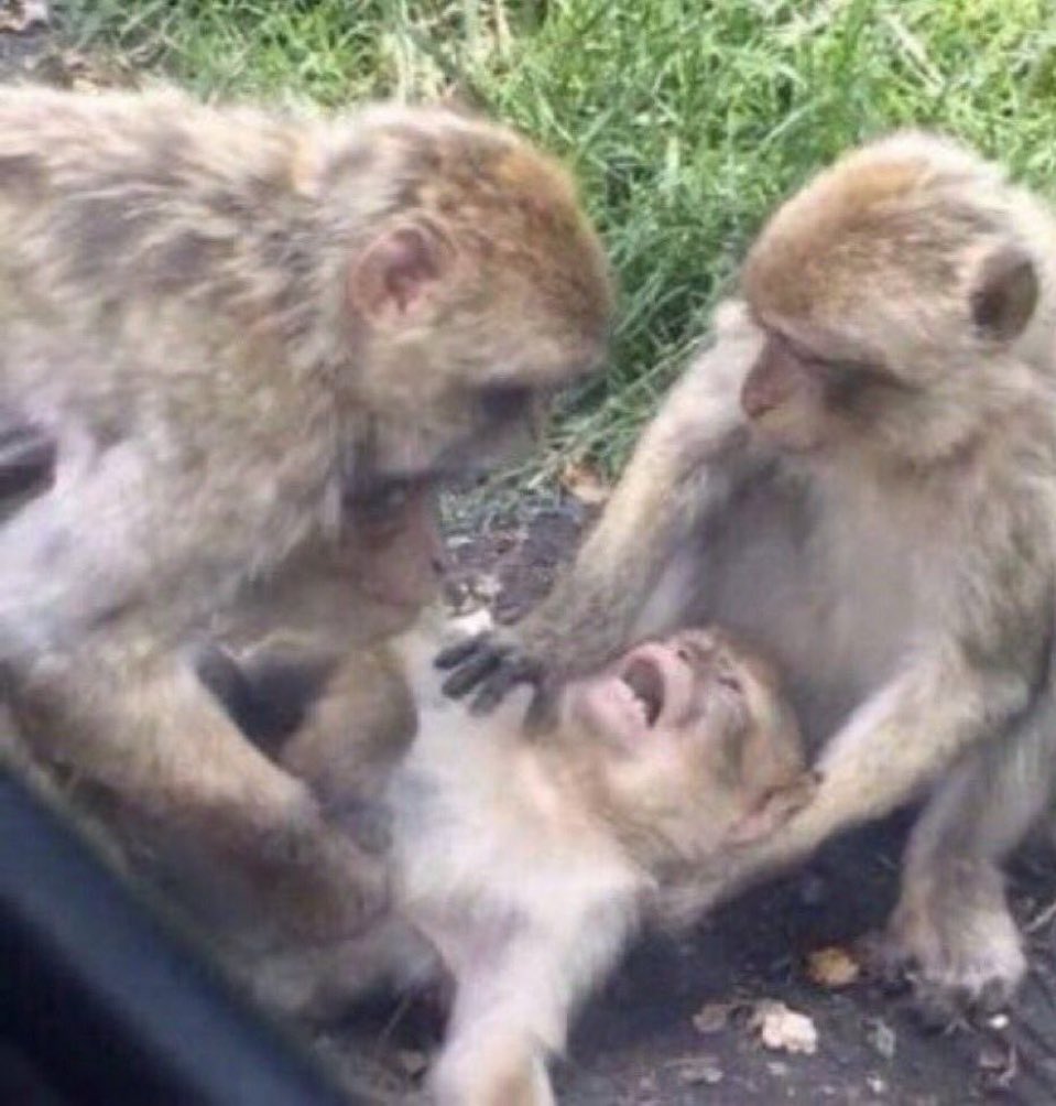 نانا ملكة جيزان tweet media