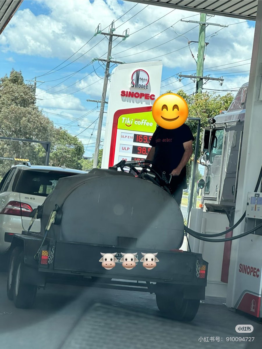 谢嘉琪 tweet media