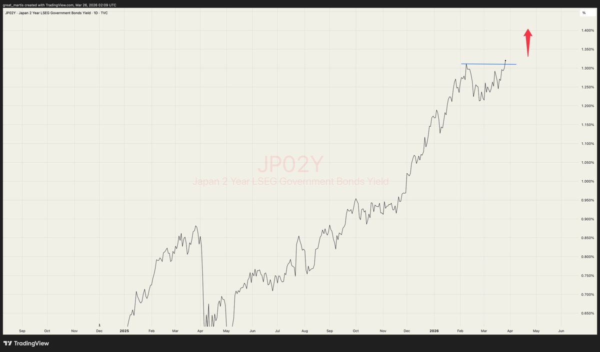 The Great Martis tweet media