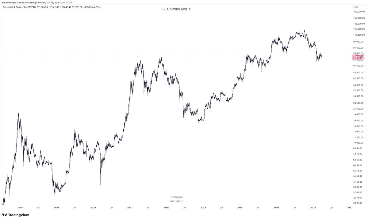 ₿lackwidow 🕷 tweet media