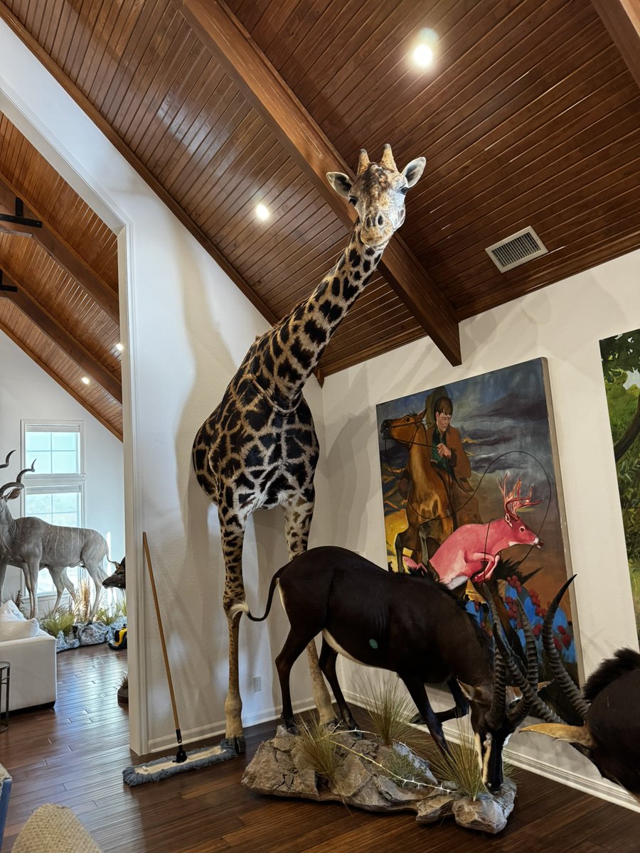 David Bess tweet media