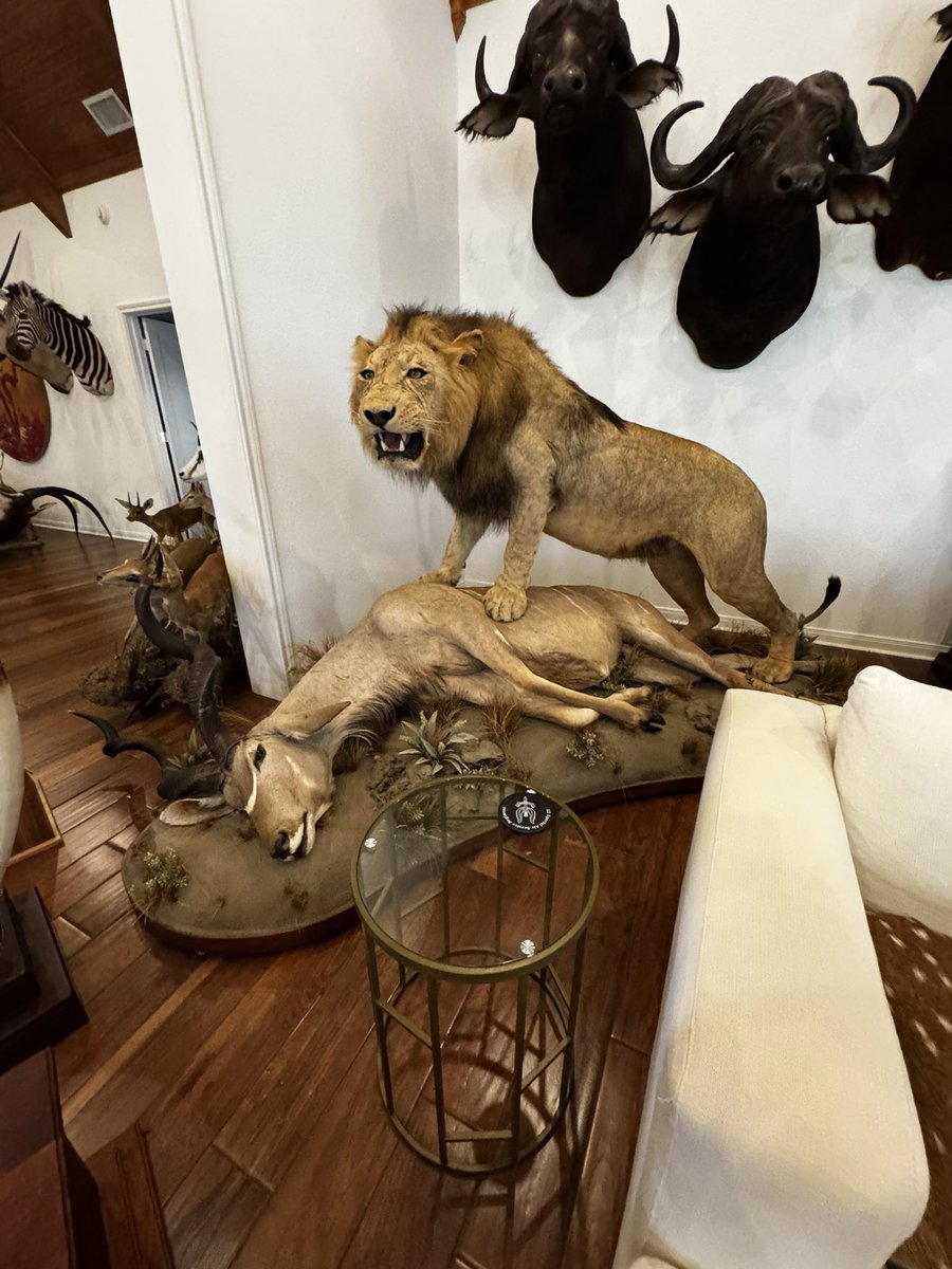 David Bess tweet media