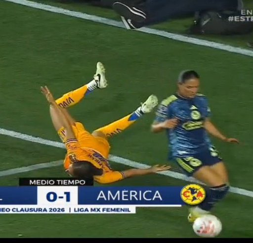 carla🐝 tweet media