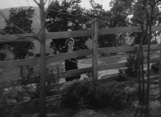 luis reséndiz tweet media