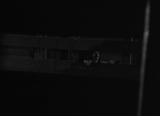 luis reséndiz tweet media