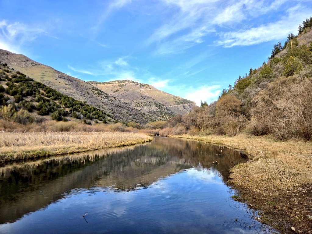 Mᴄᴏʀᴠɪɴ tweet media