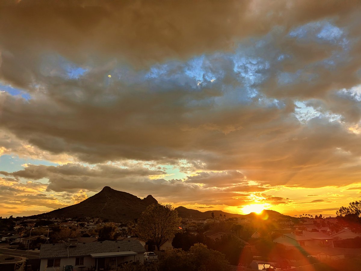 TheRealThelmaJohnson tweet media