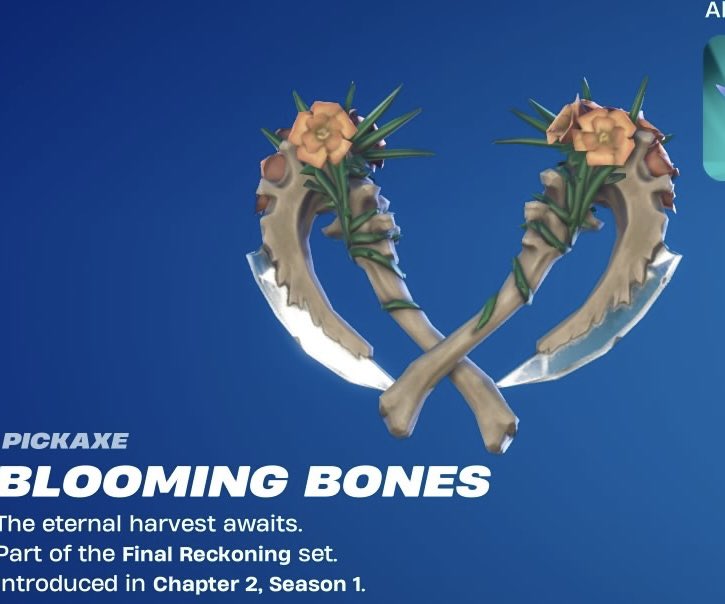 Mikki™ tweet media