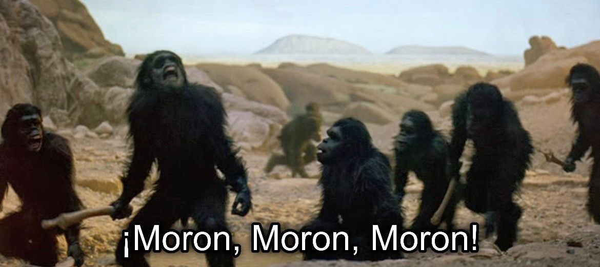 El Taims. tweet media