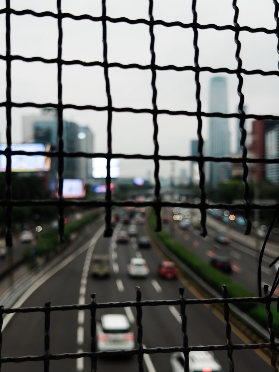 Toro Elmar tweet media