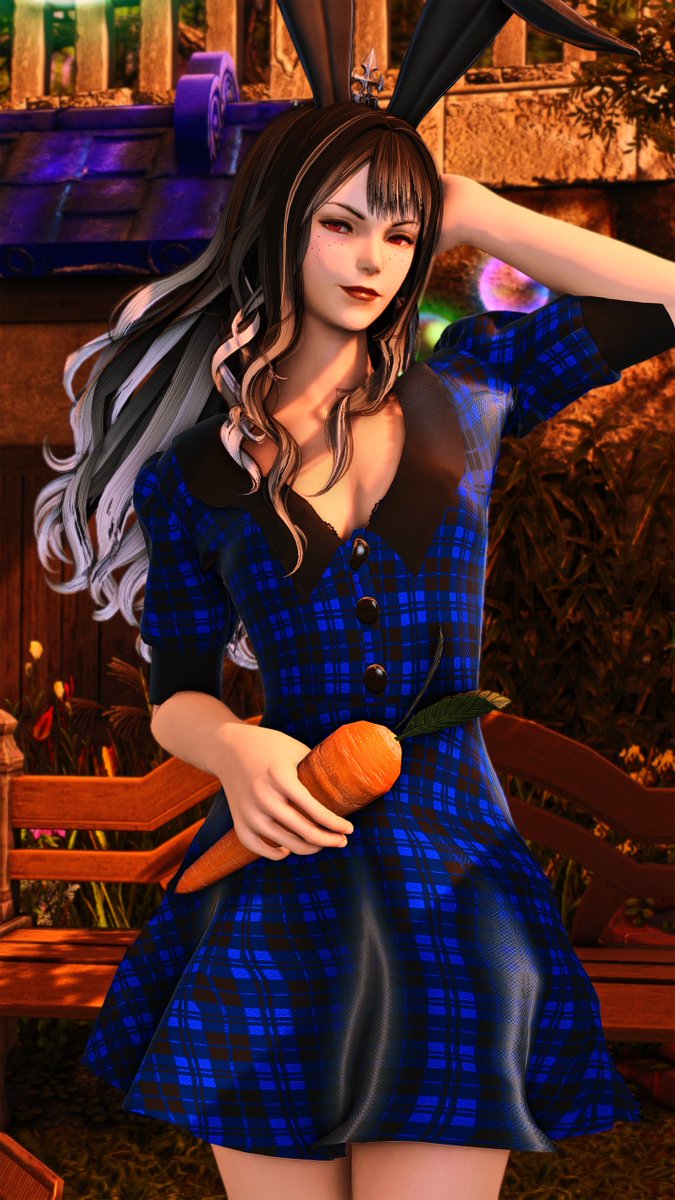 NovaFunBun tweet media