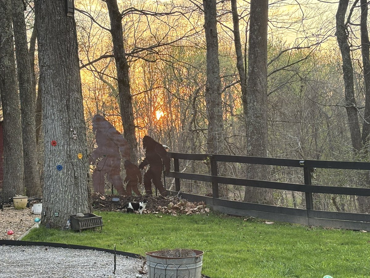 🟧⬜️VFLALLSMOKE🟧⬜️ tweet media