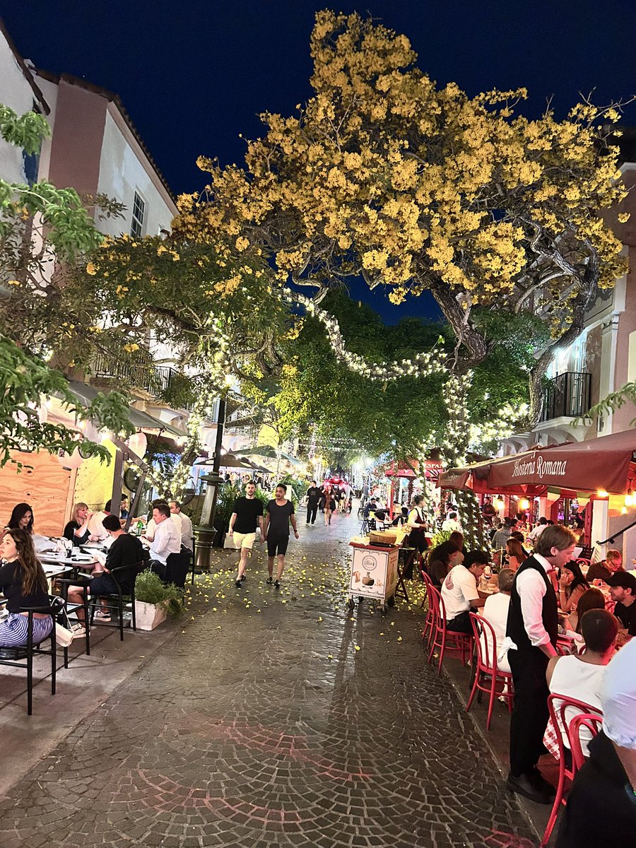 Ana Maria Kaiser tweet media