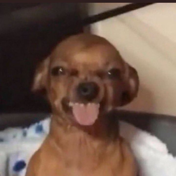 Shay 🌩 tweet media