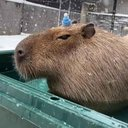 OnChain Trend Signals tweet media