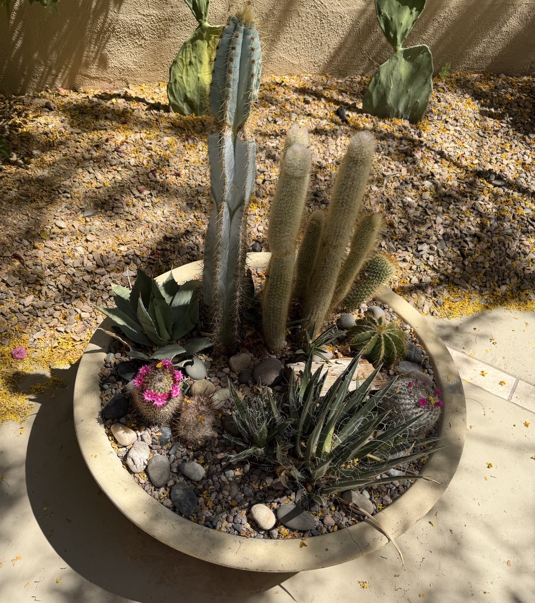 Potscapers tweet media