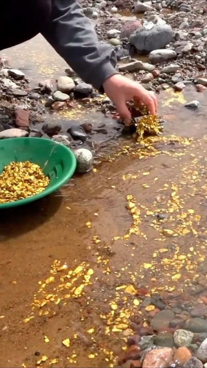 Bands💰 tweet media