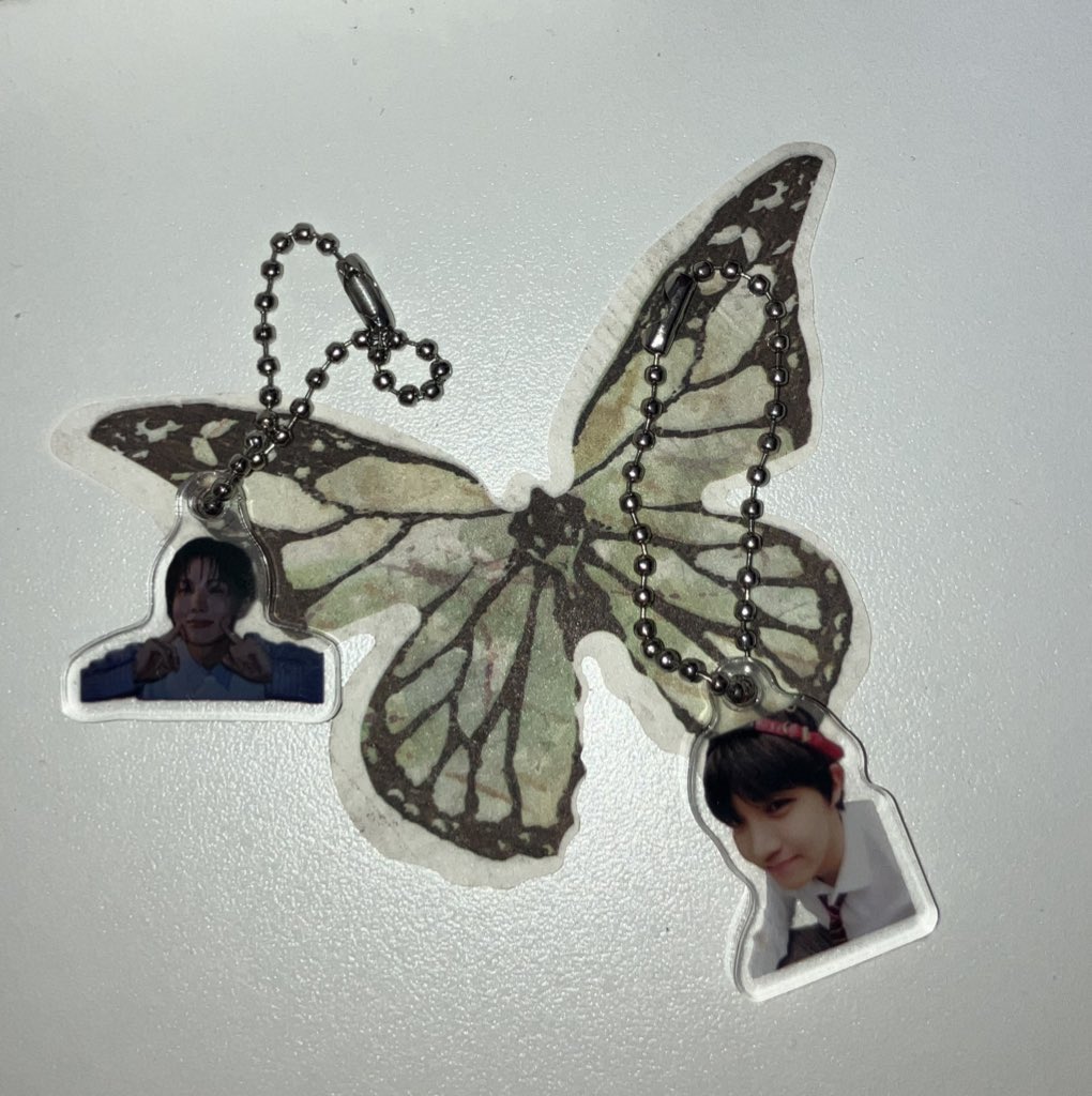 로라2.0 tweet media