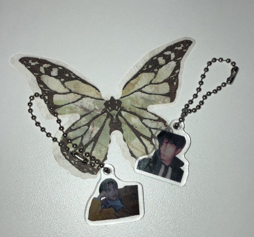 로라2.0 tweet media