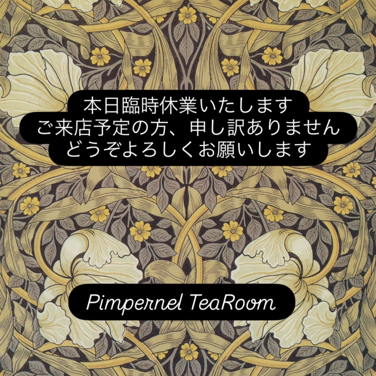 Pimpernel Tea Room tweet media