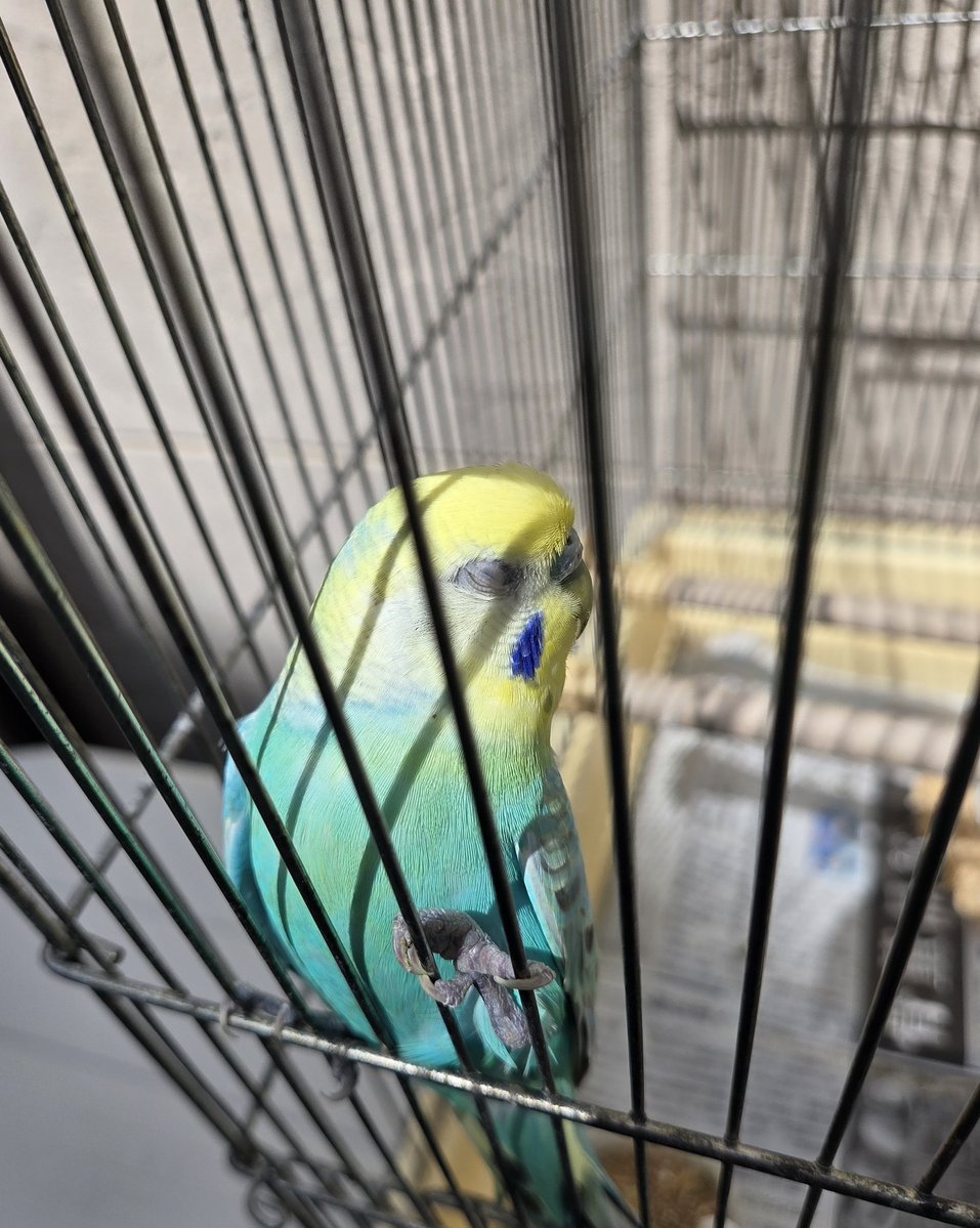 RE TZD data tweet media