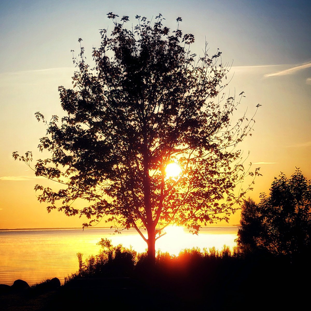 Darrell, not Daryl tweet media