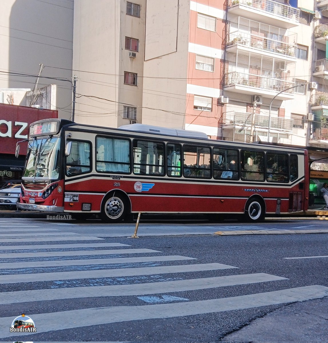 Bondis A Todo Ritmo tweet media