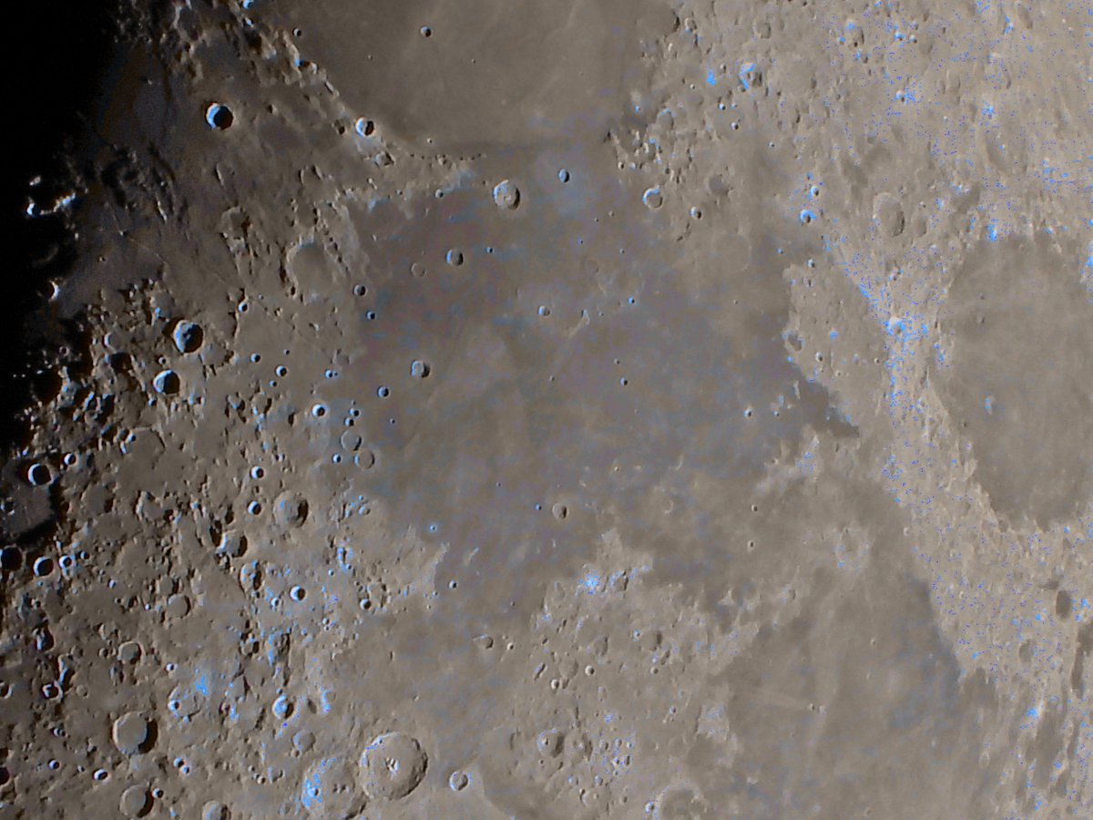 Anjuschka Prenzel tweet media