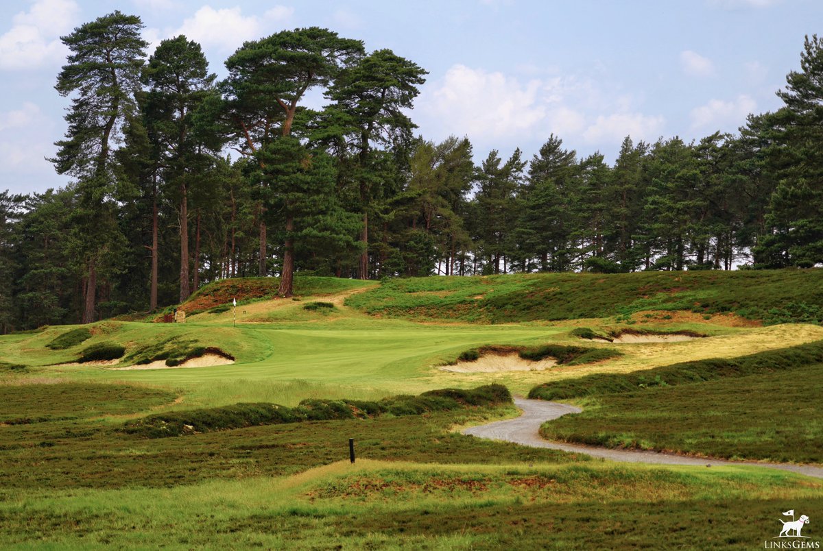 LinksGems tweet media