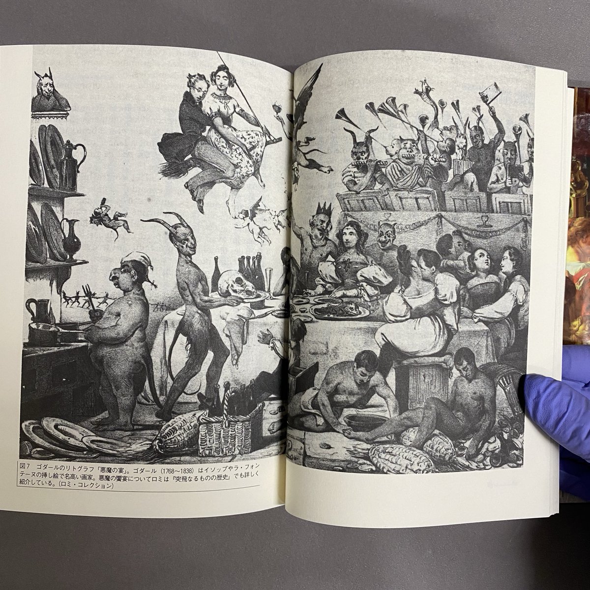 幻想系古本屋 古書ドリス tweet media