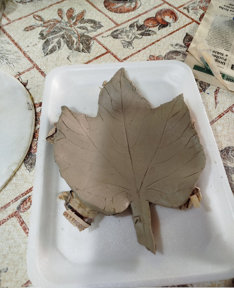 lizzy 🇺🇾 tweet media