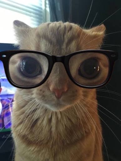 Sortarry🐂💀 tweet media