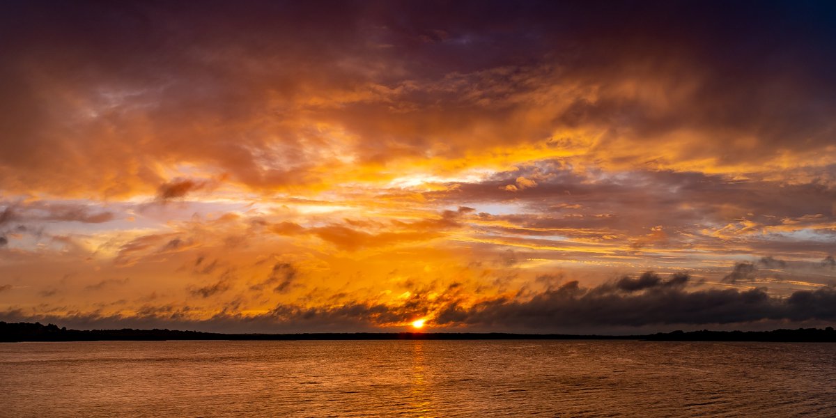 SunsetChüc tweet media