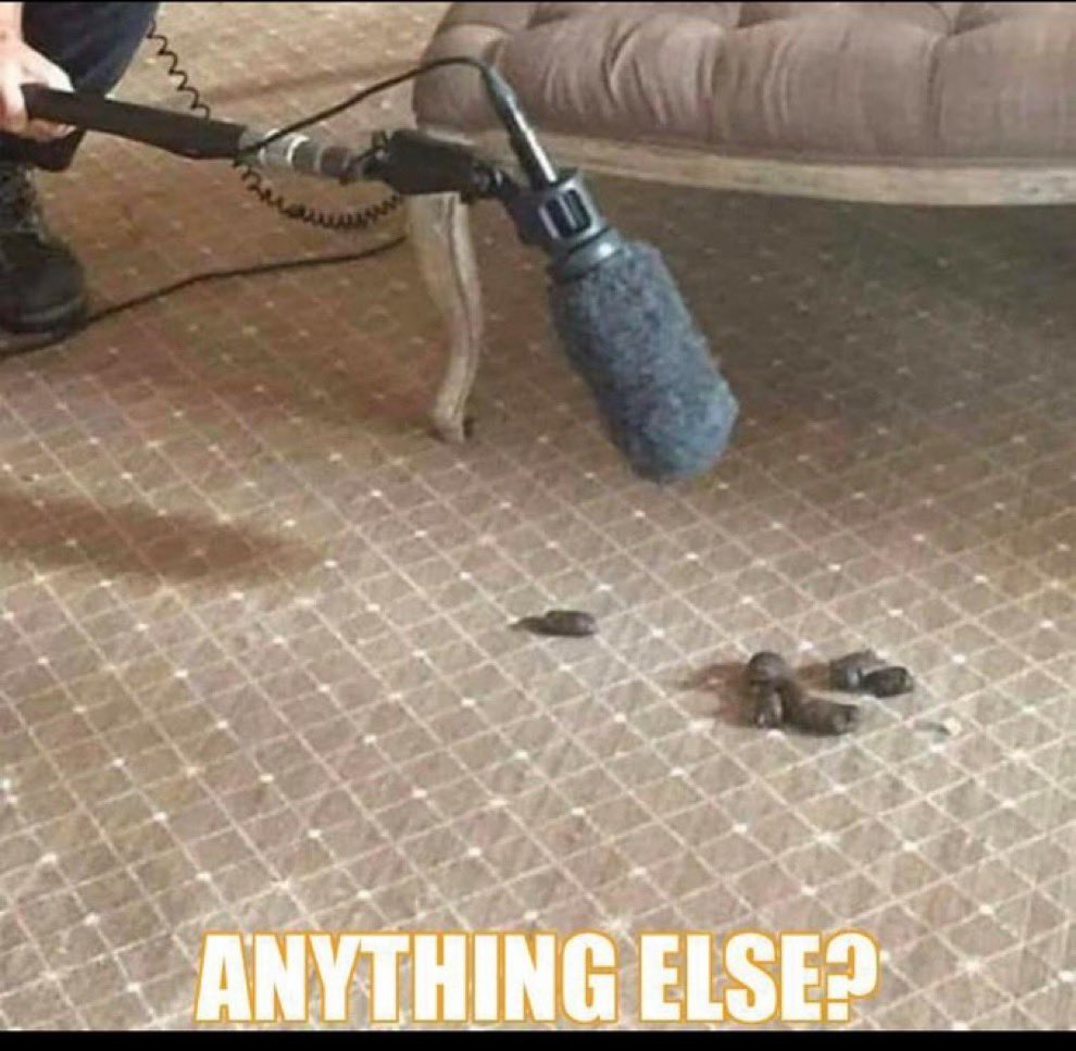 Oliver Cromwell (🇬🇧 Not 🏴󠁧󠁢󠁳󠁣󠁴󠁿) tweet media