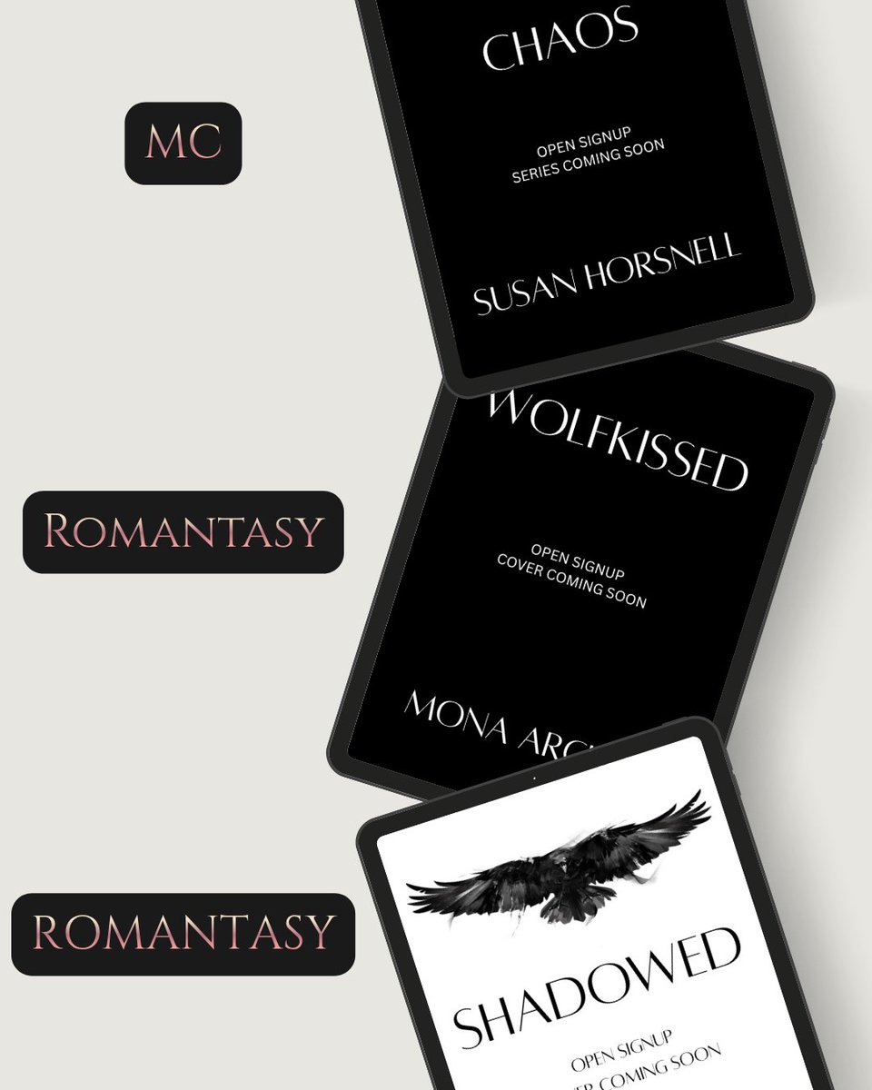 DS Book Promotions tweet media