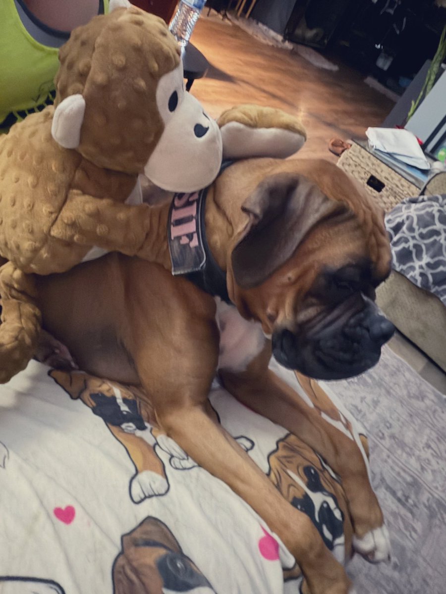 Chelsea Newman tweet media