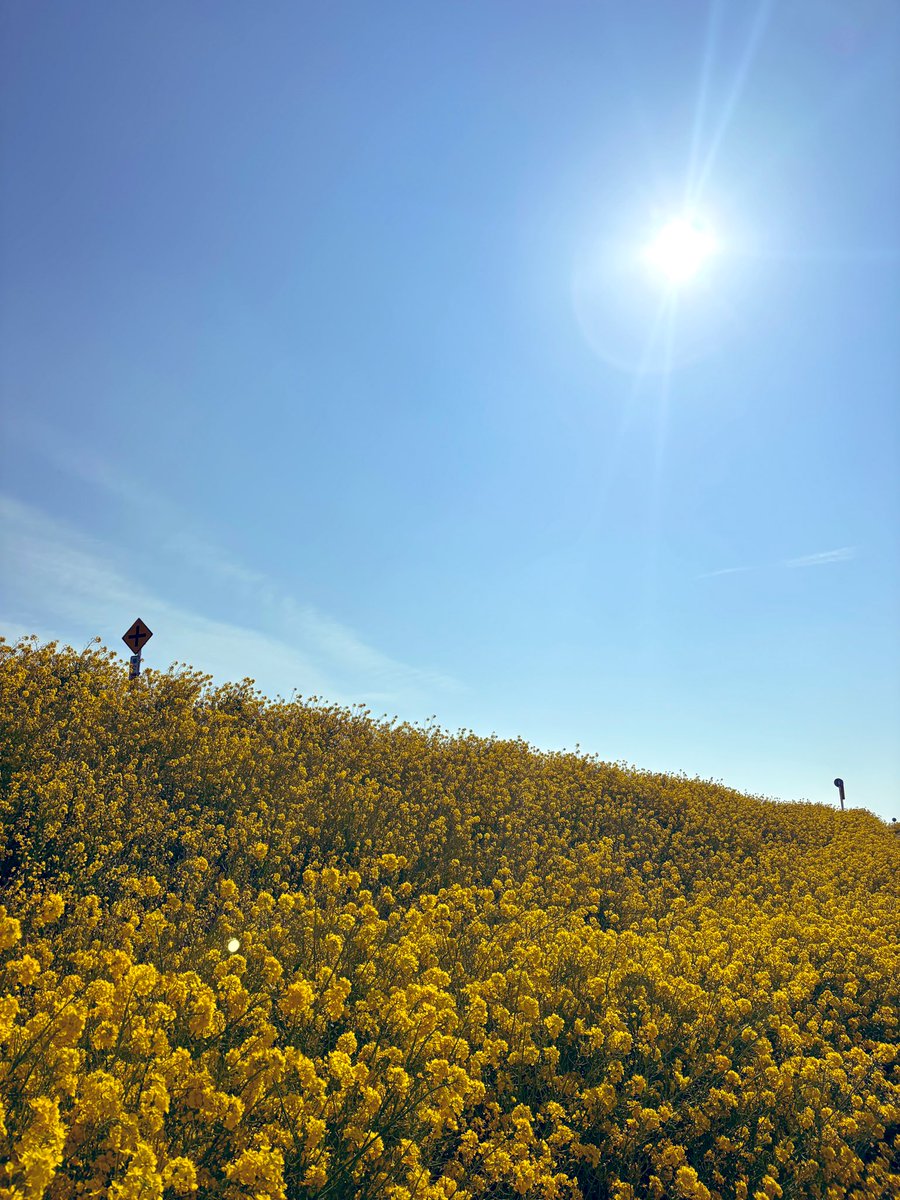 さいたぁマンワールド【公式】 tweet media