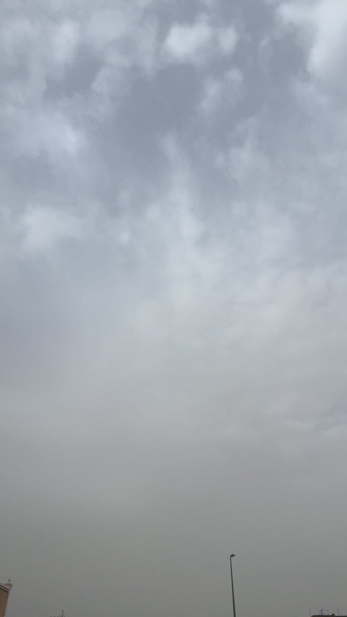 محمد الحربي tweet media