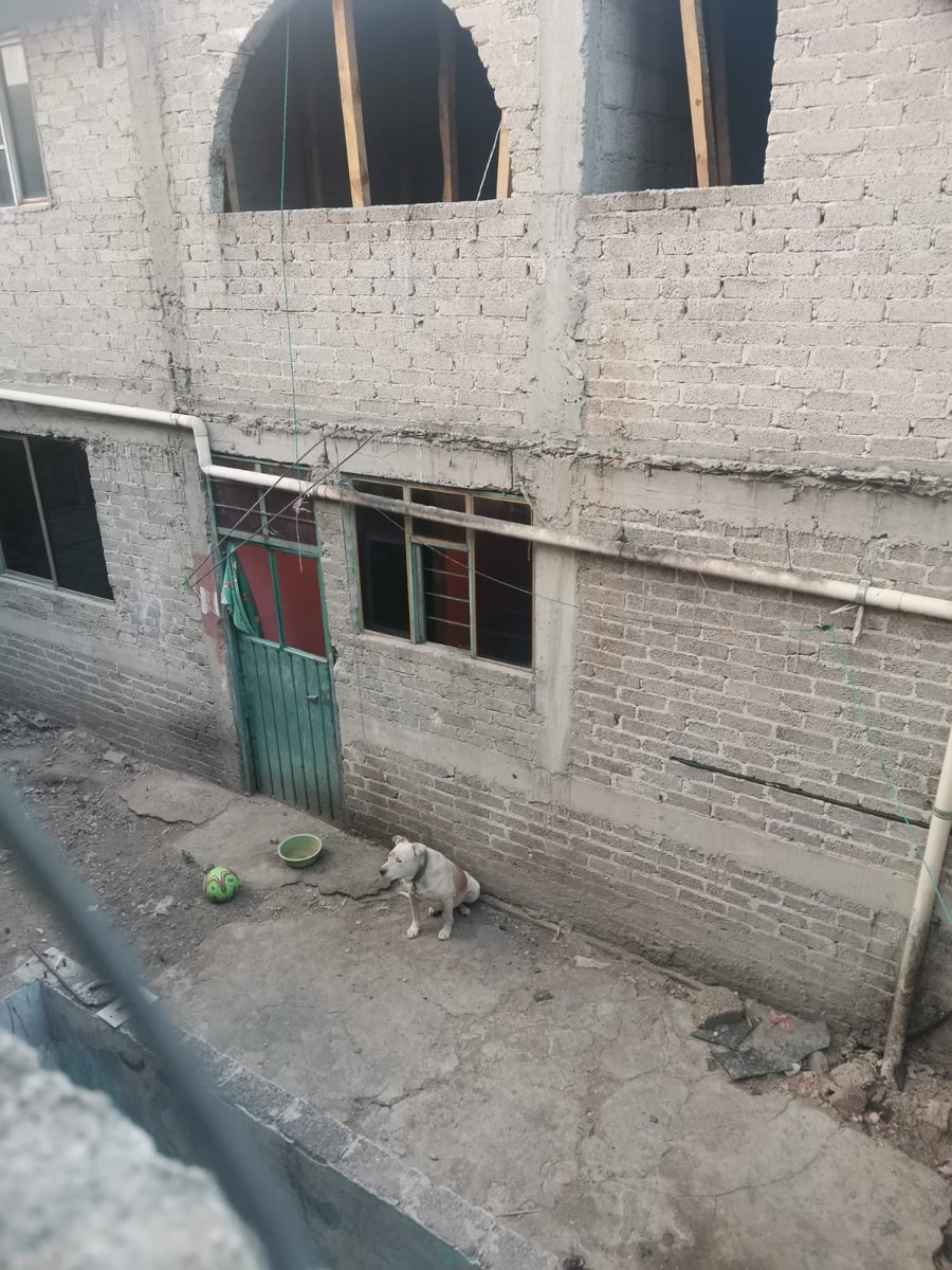 𝙷𝚎𝚕𝚊 𝙼𝚘𝚛𝚎 🐶 tweet media