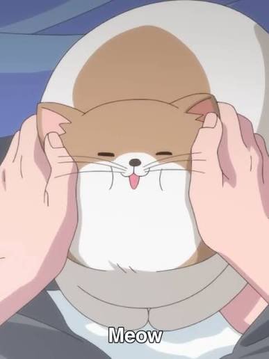 Yui Nyanpasu (Neko of Your Nightmares) tweet media