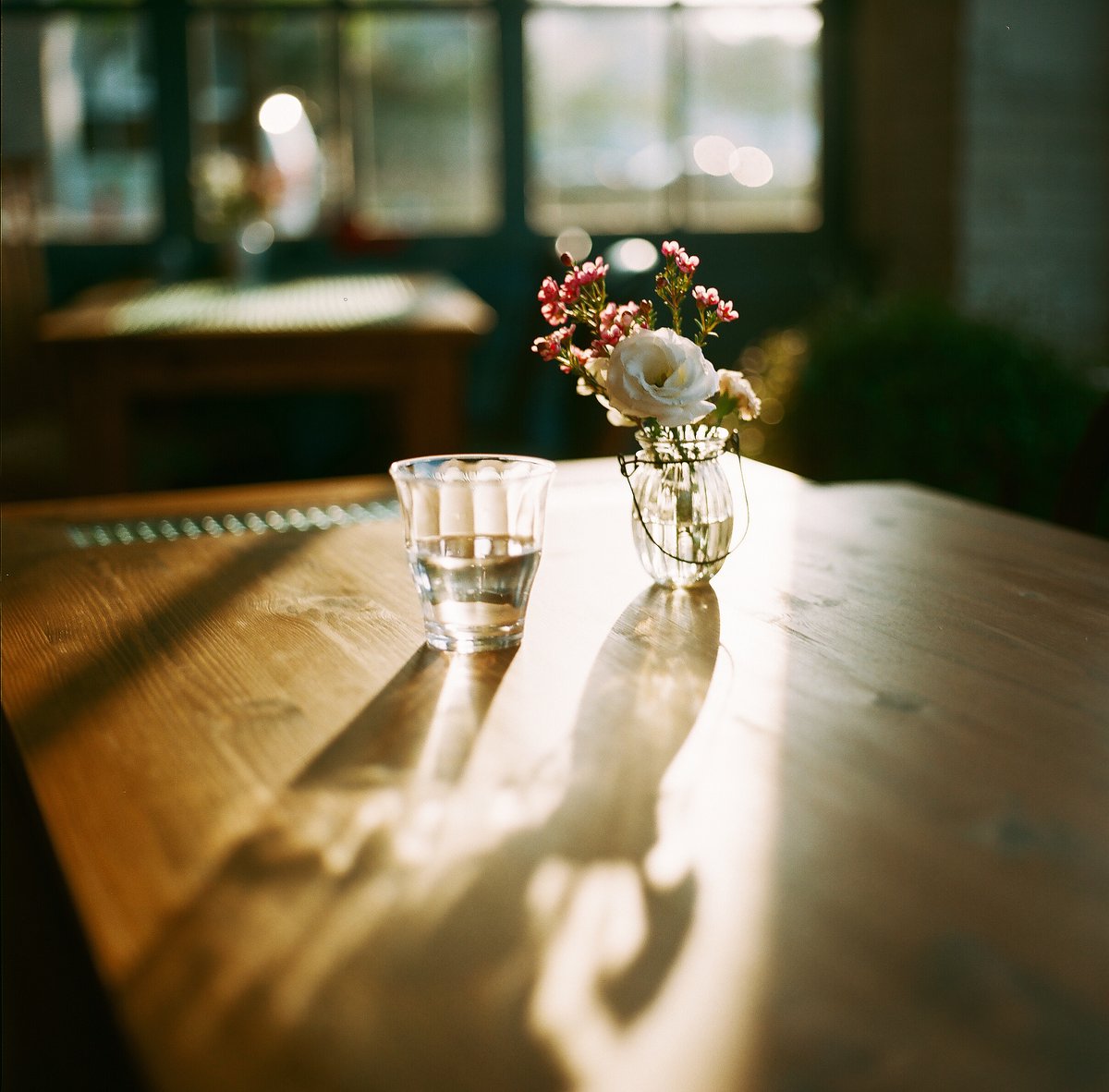 Sharon Gannon tweet media