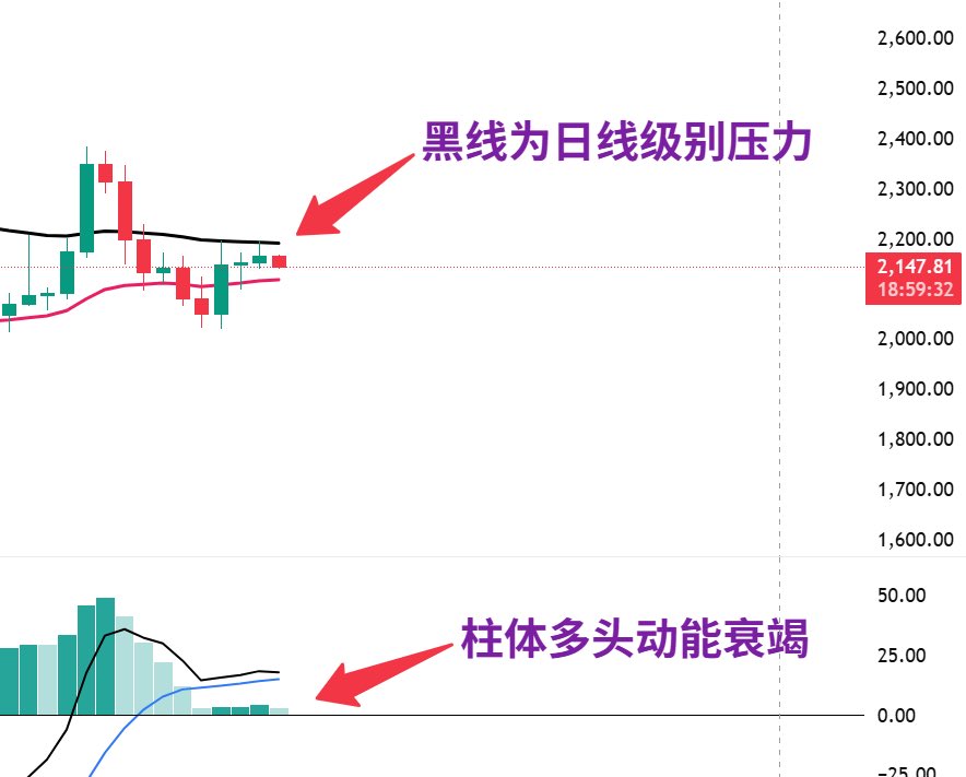 英俊zz tweet media