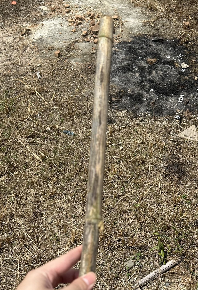 Zachy 🦊 tweet media