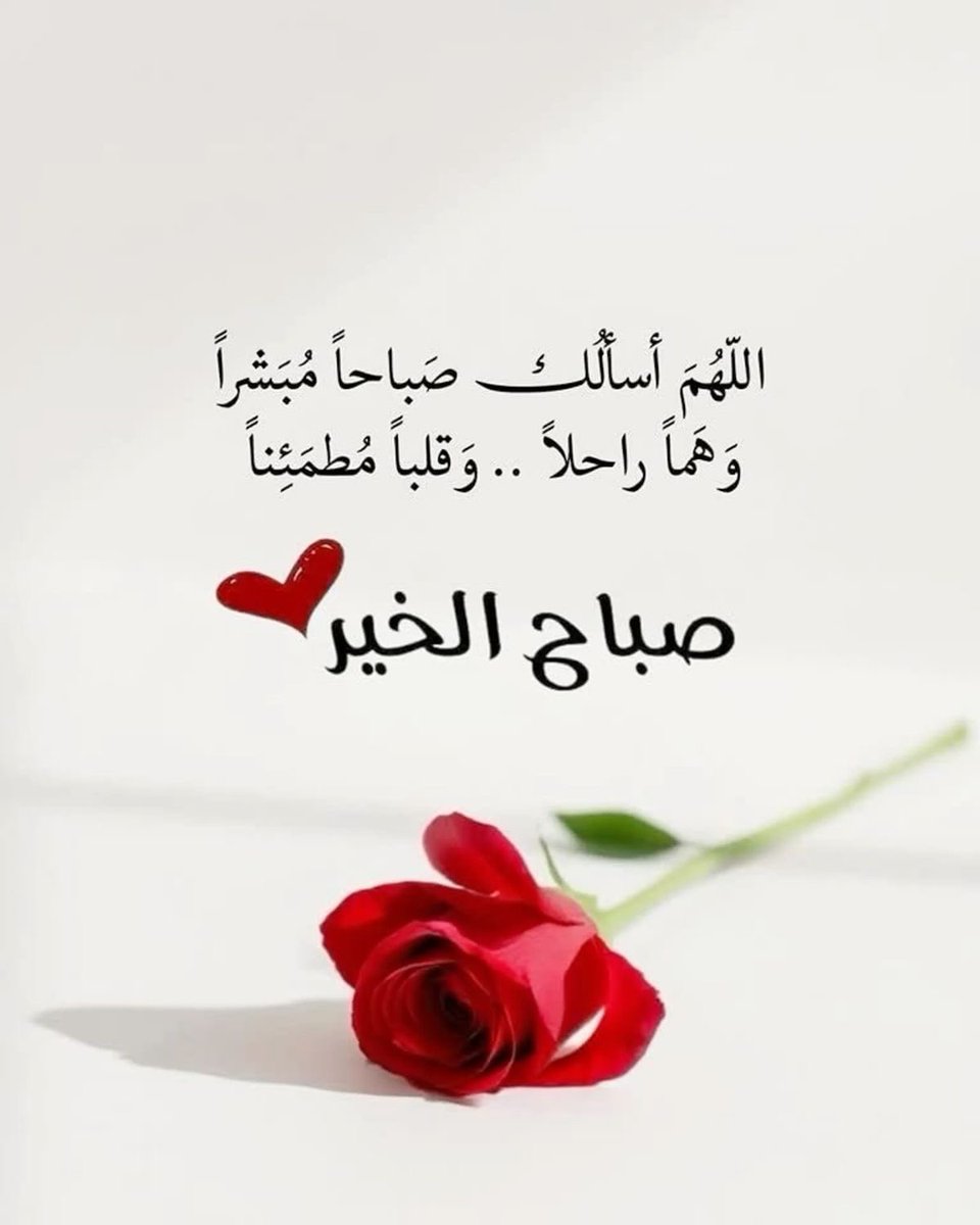 🦋 عذاري 🦋 tweet media