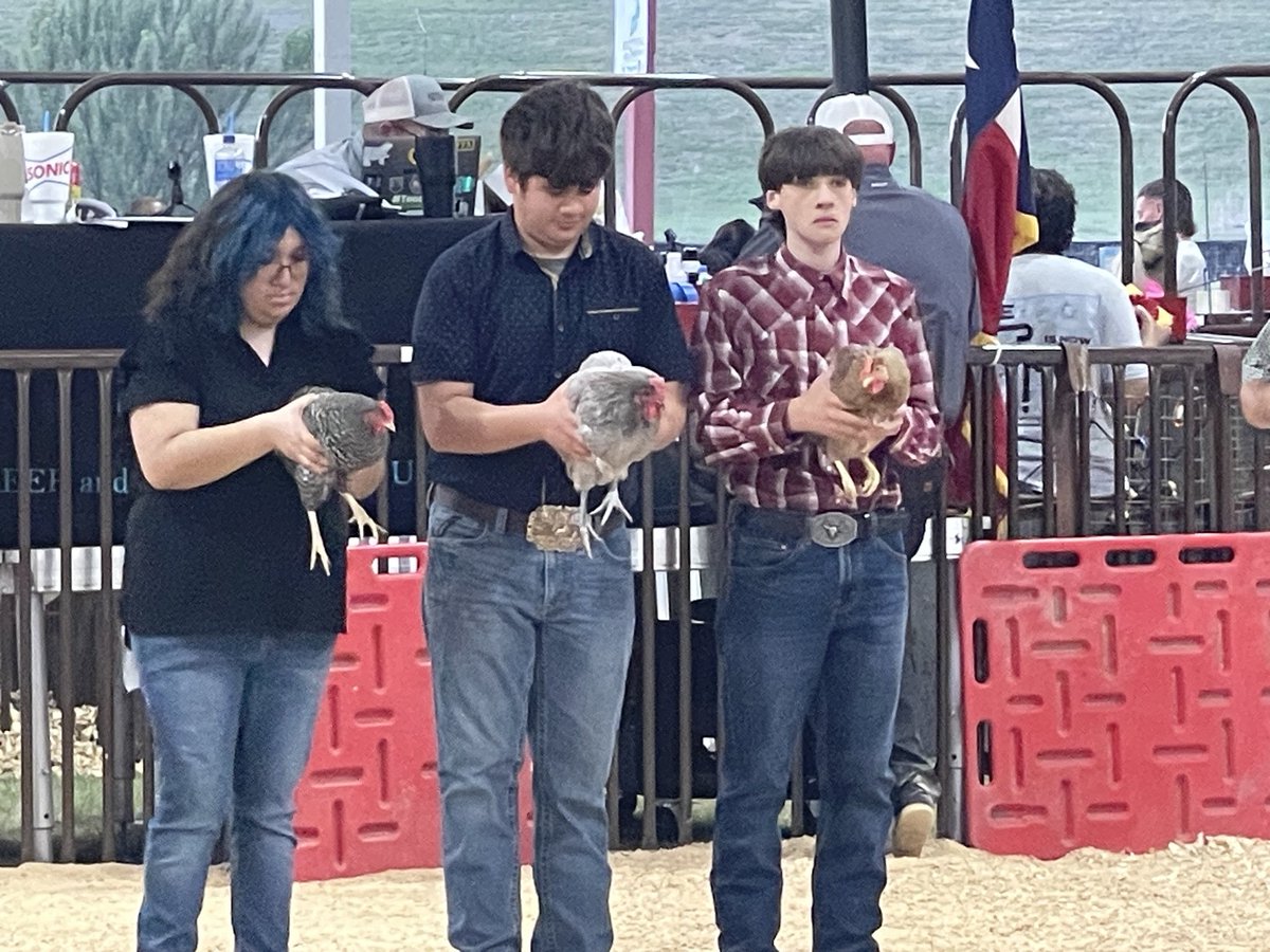 Mrs. Allen tweet media